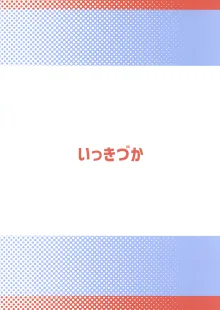 秩序スニーク, 日本語