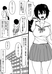 TS幼馴染～知らない間に他の男にメス堕ちさせられていた～, 日本語