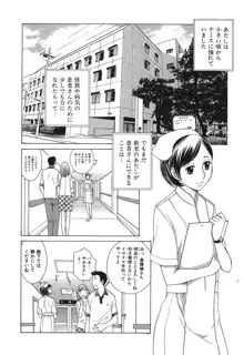 好色制服図鑑, 日本語