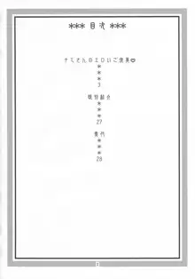 ナミの裏航海日誌5, 日本語