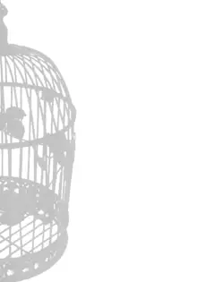 IDOLTIME SPECIAL BOOK YUKIHO HAGIWARA in the Bird Cage, 日本語