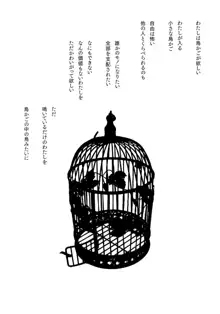 IDOLTIME SPECIAL BOOK YUKIHO HAGIWARA in the Bird Cage, 日本語