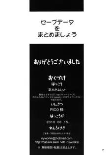 セーブデータをまとめましょう, 日本語