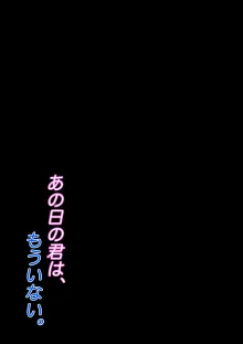 あの日の君は、もういない。, 日本語