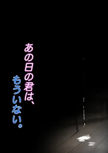 あの日の君は、もういない。, 日本語