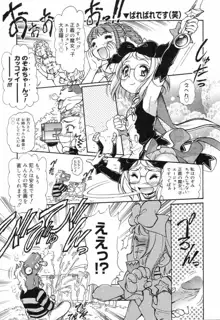 X Mitsu Shirei Witch 1-9, 日本語