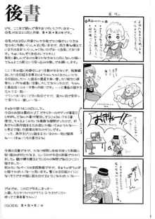 蒼星石補姦計画, 日本語