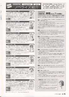 Visual Book, 日本語