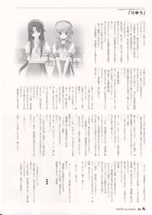 Visual Book, 日本語