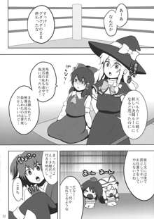 東方キャットファイトIV, 日本語