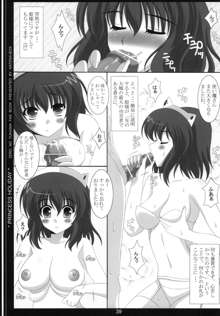 王女とメイドと使い魔, 日本語