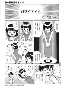 ちゃんぷるるー, 日本語