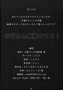 早苗さん痴漢ですよ！, 日本語