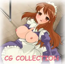 ベクサーク CG COLLECTION 6, 日本語