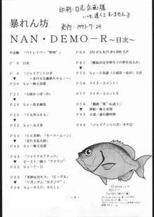 暴れん坊Nan・Demo-R, 日本語