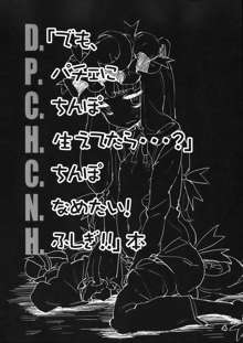 D.P.C.H.C.N.H.本, 日本語