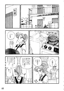 THE SECRET OF 血祭屋 vol.6, 日本語