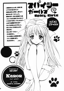 スパイシーガールズ, 日本語