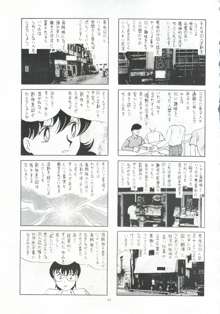 海賊版同人誌打倒版!! 被害報告, 日本語