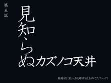 どこでも誰とでもセックス許可証, 日本語