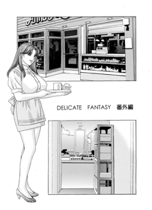 DELICATE FANTASY 2, 日本語