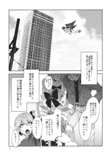 東方幻想崩壊, 日本語