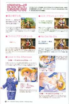 Princess Holiday Visual FanBook, 日本語