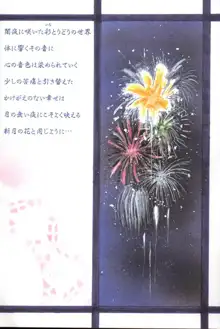 新月の花, 日本語