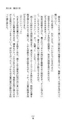 レオタード退魔師 佐緒里, 日本語