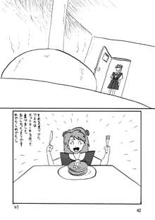 セカンド宇宙計画7, 日本語