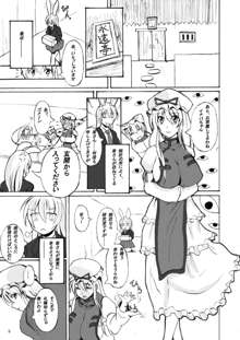 東方年増便所, 日本語