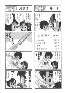 私立三絃堂学園14號, 日本語