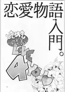 ときめき白書, 日本語