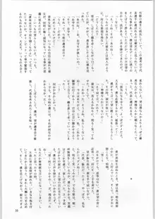 ときめき白書, 日本語