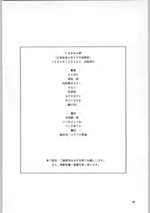 ときめき白書, 日本語