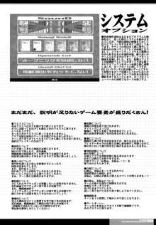 CrossinGKnighTMarE ~穢れ逝く聖女達への讃歌~ IdeaNOTE SP2, 日本語