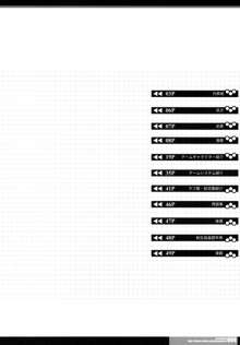 CrossinGKnighTMarE ~穢れ逝く聖女達への讃歌~ IdeaNOTE SP2, 日本語