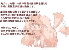 兎犬の飼い方講座, 日本語