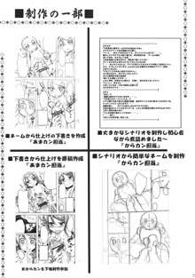 選択肢は間違えない!, 日本語