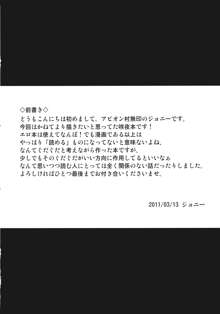 十六夜咲夜の眠れない夜, 日本語