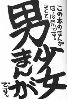 小さな恋のメロディ, 日本語