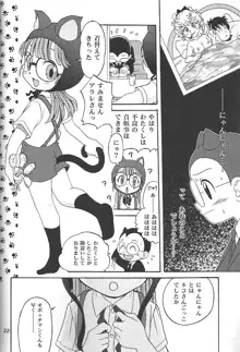 PROJECT ARALE 2, 日本語