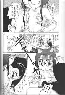 PROJECT ARALE 2, 日本語