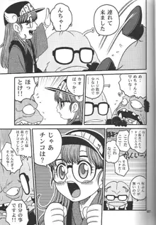 PROJECT ARALE 2, 日本語