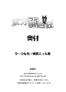 東方紺色狂改3, 日本語