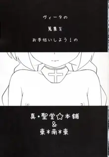 ヴィータちゃんの蒐集日記, 日本語