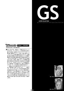 GS3, 日本語