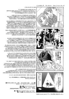 - 季刊わたしのおにいさん らんどせるがーるず, 日本語