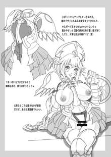 Rebersible Bikini Armor Series Vol.1, 日本語