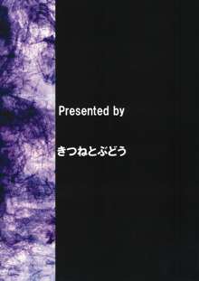 はたてちゃんの密着初取材, 日本語